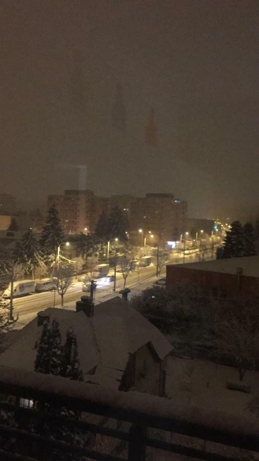 Apartament Francesca Daire Braşov Dış mekan fotoğraf