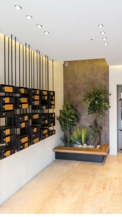 Apartament Francesca Daire Braşov Dış mekan fotoğraf